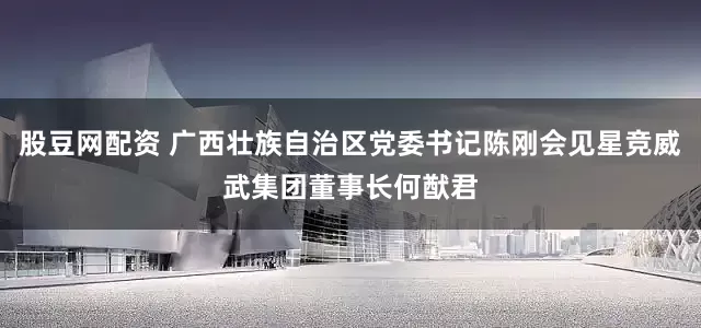 股豆网配资 广西壮族自治区党委书记陈刚会见星竞威武集团董事长何猷君