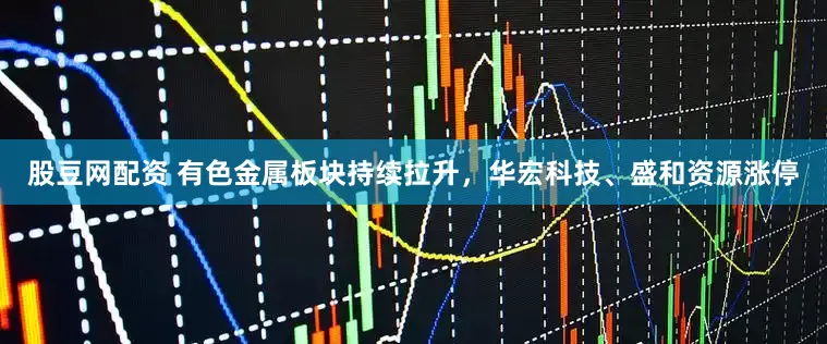 股豆网配资 有色金属板块持续拉升，华宏科技、盛和资源涨停