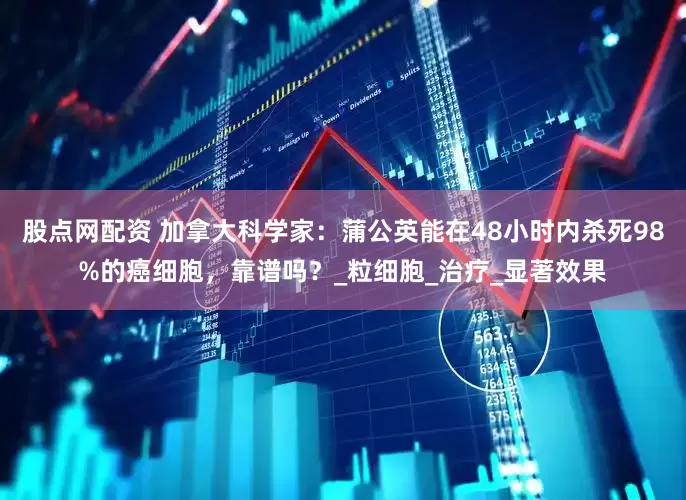 股点网配资 加拿大科学家：蒲公英能在48小时内杀死98%的癌细胞，靠谱吗？_粒细胞_治疗_显著效果