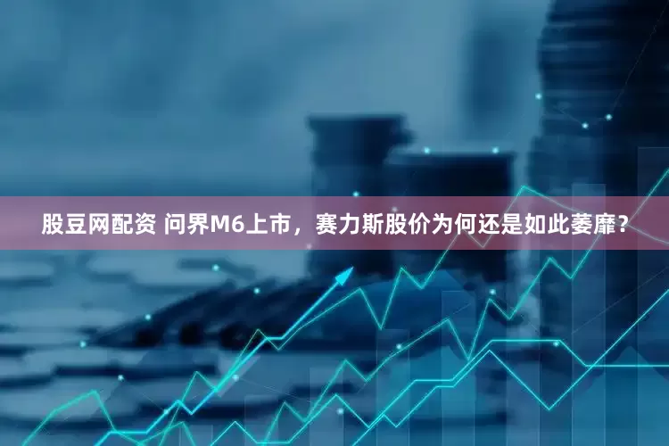 股豆网配资 问界M6上市,赛力斯股价为何还是如此萎靡?
